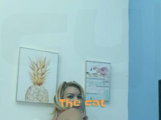The_cat
