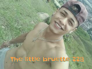 The_little_bruette_228
