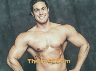 Thebig22cm