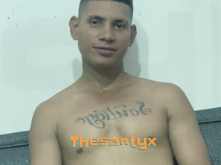 Thesantyx