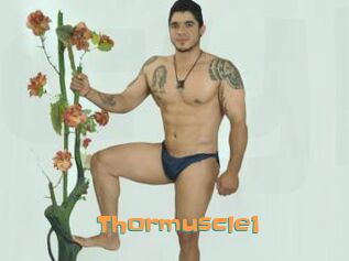 Thormuscle1