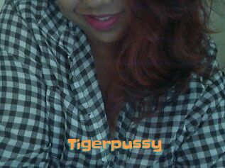 Tigerpussy