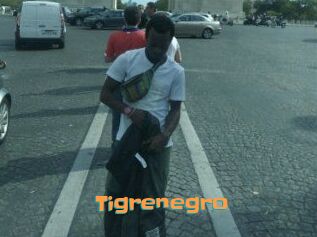 Tigrenegro