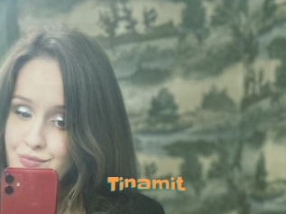 Tinamit