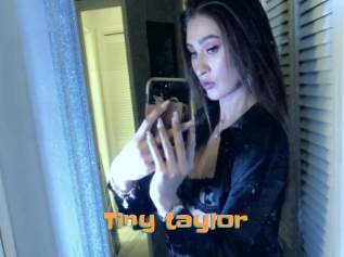 Tiny_taylor