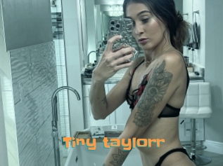Tiny_taylorr