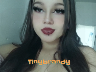 Tinybrandy