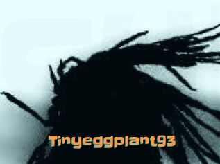 Tinyeggplant93