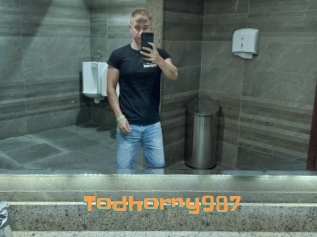 Todhorny987