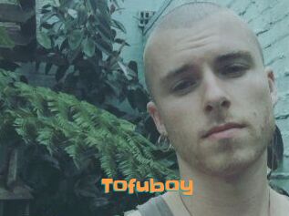 Tofu_boy