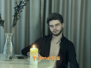tomellis Cyberhuren