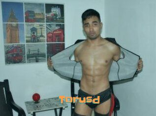 Torusd