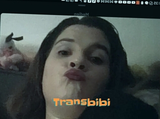 Transbibi