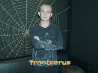 Trantcerus