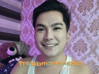 Trebbmanansala