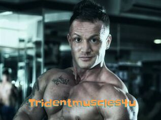 Tridentmuscles4u