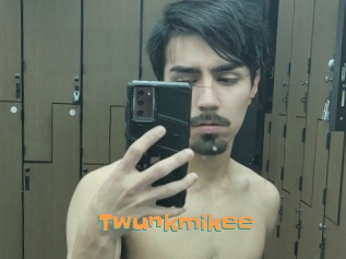Twunkmikee