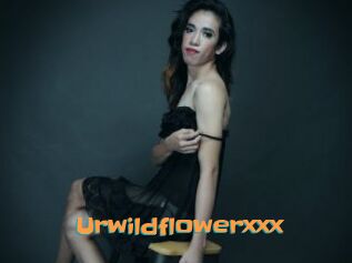 Urwildflowerxxx
