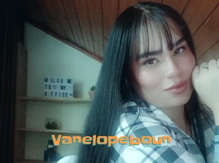 Vanelopeboun