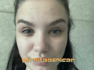 Vernitaasnicar