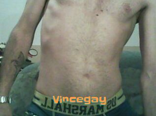 Vincegay