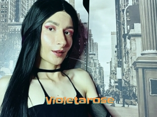 Violetarose