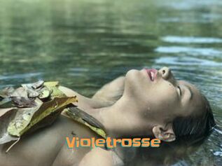 Violetrosse