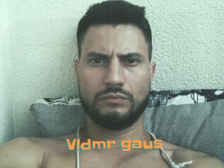 Vldmr_gaus