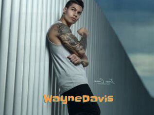 WayneDavis