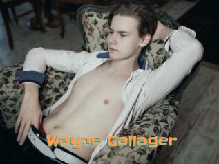 Wayne_Gallager
