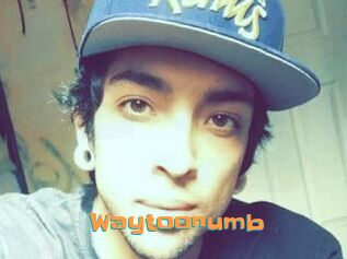 Waytoonumb