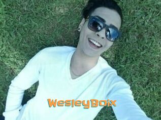 Wesley_Boix