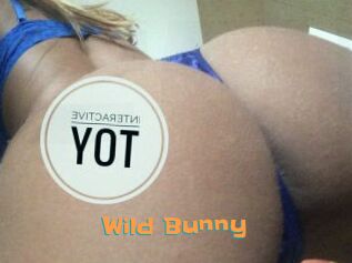 Wild_Bunny_