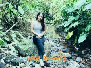 Wild_Rose18
