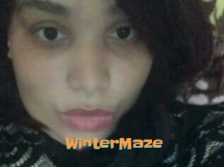 Winter_Maze