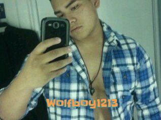 Wolfboy1213