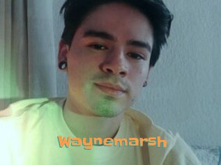 Waynemarsh