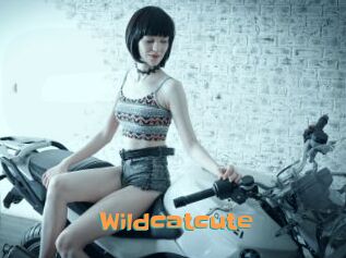 Wildcatcute
