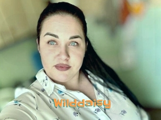 Wilddaisy