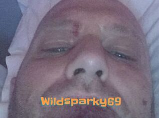 Wildsparky69