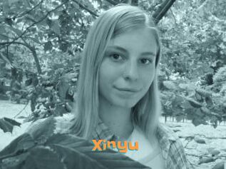 Xinyu