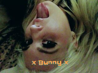 _x_Bunny_x_