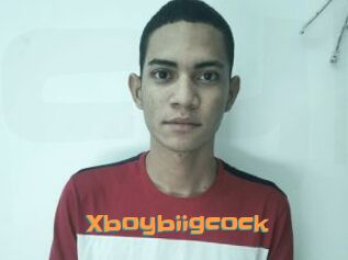 Xboybiigcock