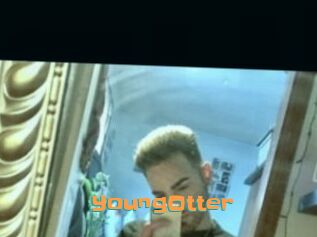 YoungOtter