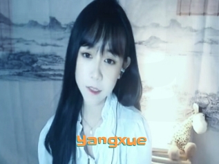 Yangxue