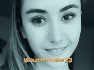 Yourmouse23