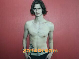 ZaneDream
