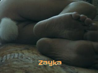 Zayka
