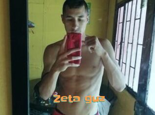 Zeta_guz
