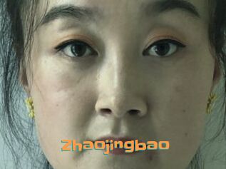 Zhaojingbao